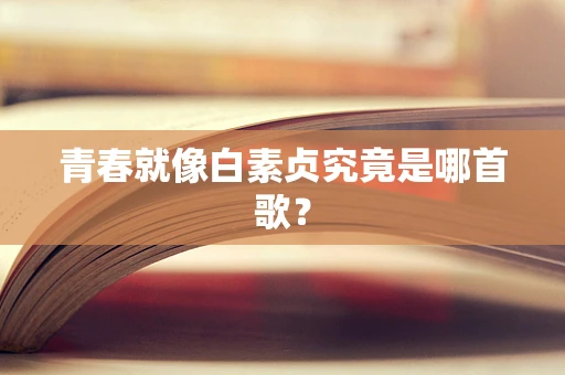 青春就像白素贞究竟是哪首歌？