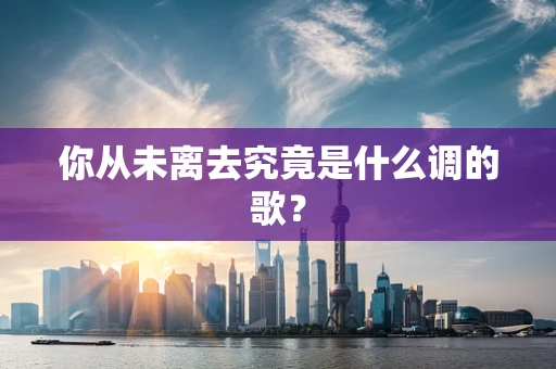 你从未离去究竟是什么调的歌？