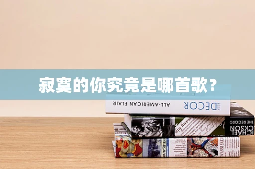 寂寞的你究竟是哪首歌？