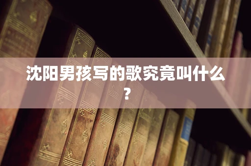 沈阳男孩写的歌究竟叫什么？