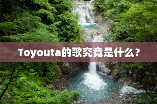 Toyouta的歌究竟是什么？