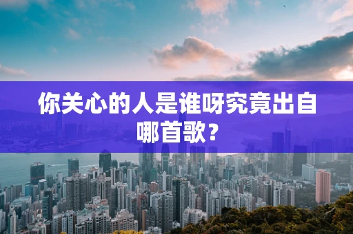 你关心的人是谁呀究竟出自哪首歌？