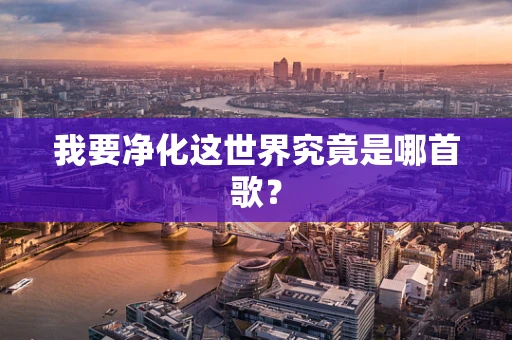 我要净化这世界究竟是哪首歌？
