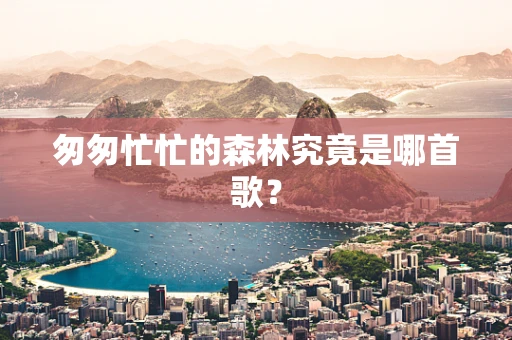 匆匆忙忙的森林究竟是哪首歌？