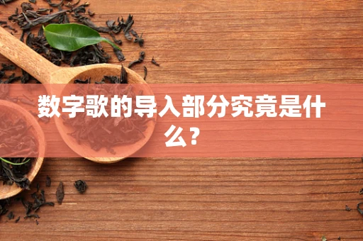 数字歌的导入部分究竟是什么？