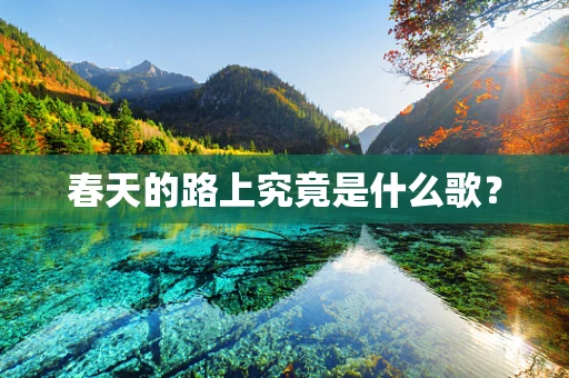 春天的路上究竟是什么歌？