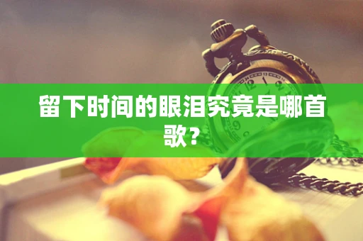 留下时间的眼泪究竟是哪首歌？