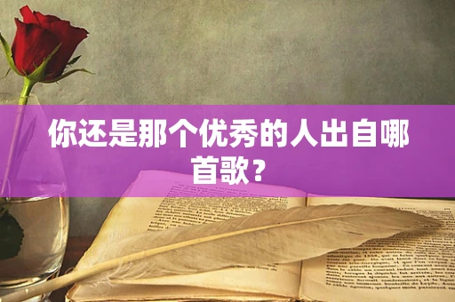 你还是那个优秀的人出自哪首歌？