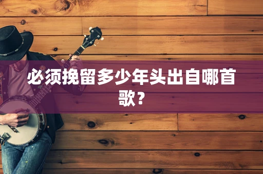 必须挽留多少年头出自哪首歌？