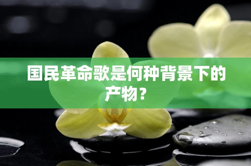 国民革命歌是何种背景下的产物？