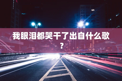 我眼泪都哭干了出自什么歌？