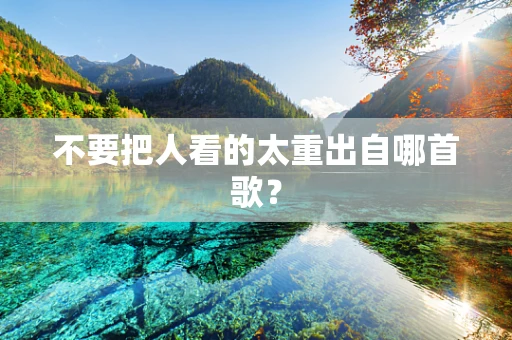 不要把人看的太重出自哪首歌？