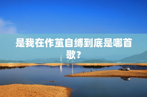 是我在作茧自缚到底是哪首歌？