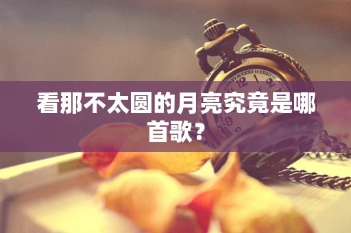 看那不太圆的月亮究竟是哪首歌？
