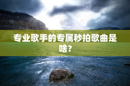 专业歌手的专属秒拍歌曲是啥？