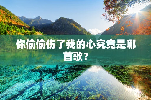 你偷偷伤了我的心究竟是哪首歌？