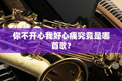 你不开心我好心痛究竟是哪首歌？