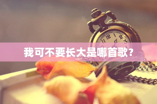我可不要长大是哪首歌？
