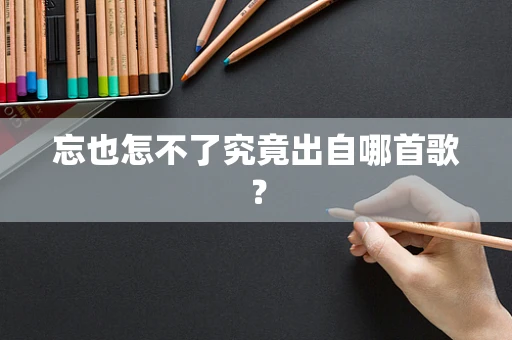 忘也怎不了究竟出自哪首歌？