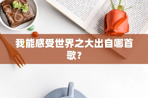 我能感受世界之大出自哪首歌？