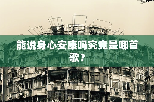 能说身心安康吗究竟是哪首歌？