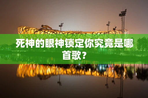 死神的眼神锁定你究竟是哪首歌？