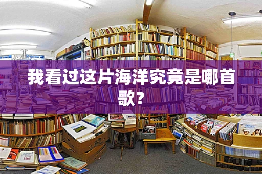 我看过这片海洋究竟是哪首歌？