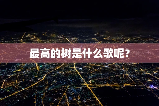 最高的树是什么歌呢？