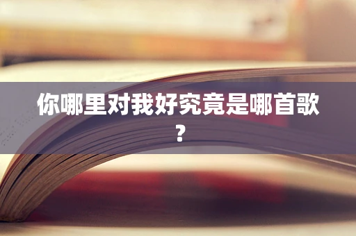 你哪里对我好究竟是哪首歌？