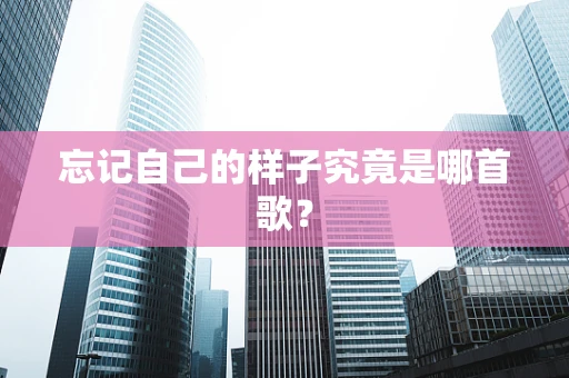 忘记自己的样子究竟是哪首歌？
