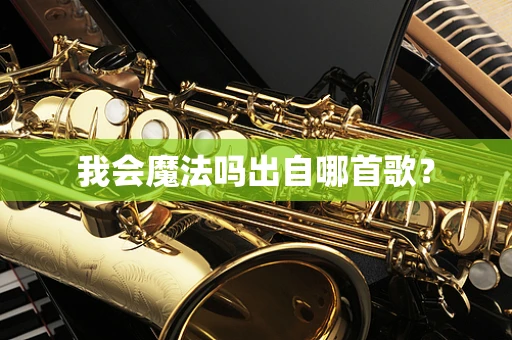 我会魔法吗出自哪首歌？