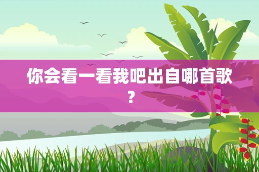 你会看一看我吧出自哪首歌？