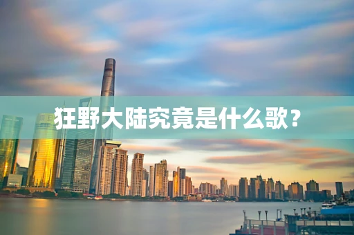 狂野大陆究竟是什么歌？