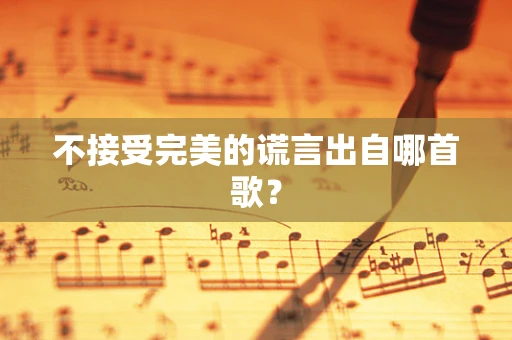 不接受完美的谎言出自哪首歌？