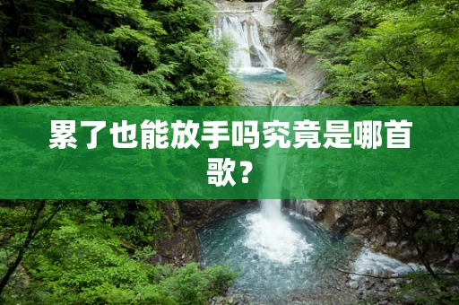 累了也能放手吗究竟是哪首歌？