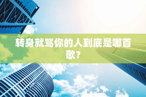 转身就骂你的人到底是哪首歌？