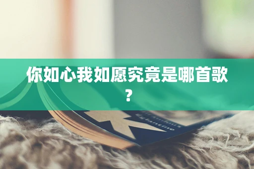 你如心我如愿究竟是哪首歌？