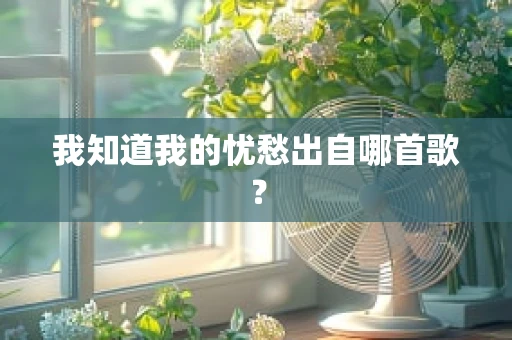 我知道我的忧愁出自哪首歌？