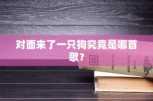 对面来了一只狗究竟是哪首歌？