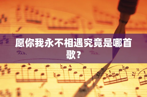 愿你我永不相遇究竟是哪首歌？