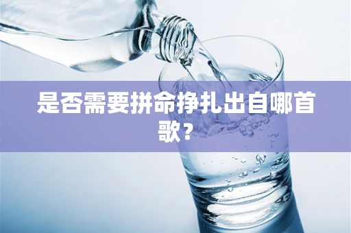 是否需要拼命挣扎出自哪首歌？