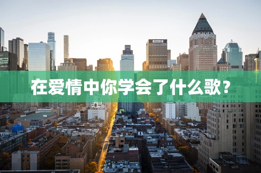 在爱情中你学会了什么歌？