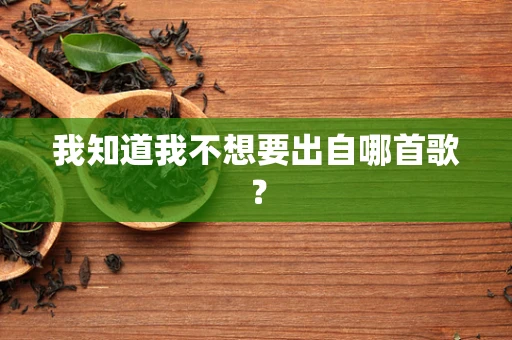 我知道我不想要出自哪首歌？