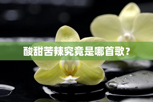 酸甜苦辣究竟是哪首歌？