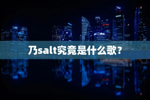 乃salt究竟是什么歌？