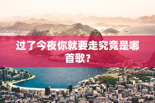 过了今夜你就要走究竟是哪首歌？