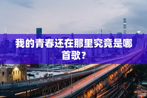 我的青春还在那里究竟是哪首歌？