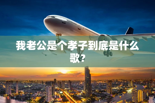 我老公是个孝子到底是什么歌？