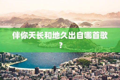 伴你天长和地久出自哪首歌？