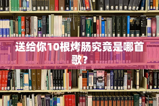 送给你10根烤肠究竟是哪首歌？